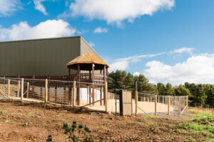 New build giraffe house Edinburgh Zoo